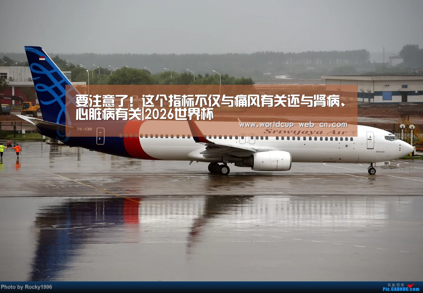 要注意了!这个指标不仅与痛风有关还与肾病、心脏病有关|2026世界杯