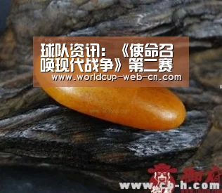 球队资讯:《使命召唤现代战争》第二赛季预告 人气王幽灵回归(图4) 球队资讯