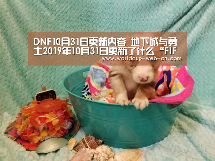 DNF10月31日更新内容 地下城与勇士2019年10月31日更新了什么“FIFA世界杯”