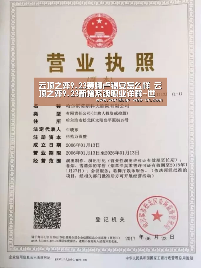 云顶之弈9.23赛娜卢锡安怎么样 云顶之弈9.23新增系魂职业详解-世界杯赛程