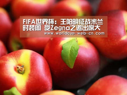 FIFA世界杯:王阳明征战米兰时装周 受Zegna之邀出席大秀(图2) 2026世界杯
