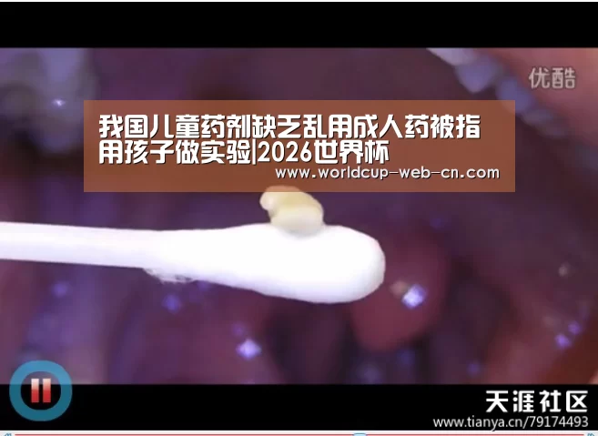 2026世界杯