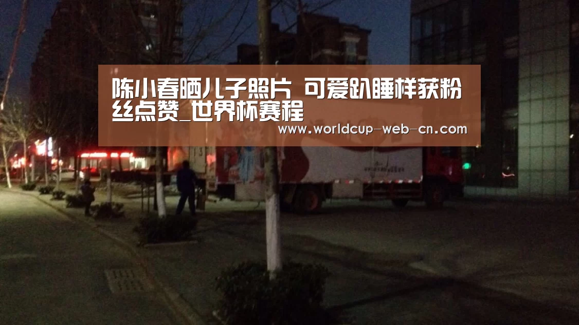 陈小春晒儿子照片 可爱趴睡样获粉丝点赞_世界杯赛程