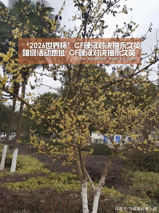 ‘2026世界杯’CF硬汉对决抽永久英雄级活动地址 CF硬汉对决抽永久英雄级活动网址
