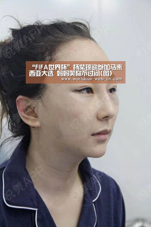“FIFA世界杯”杨紫琼欲参加马来西亚大选 妈妈笑称不过问(图)