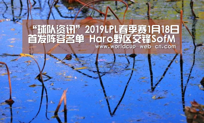 世界杯赛程